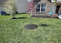 Expert lawn mowing service near you across Indianapolis, IN - Green Forest Landscaping