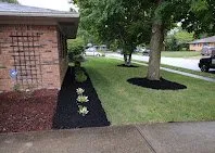 Reliable residential landscaping in Indianapolis, IN by Green Forest Landscaping