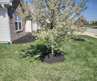 Trusted yard cleanup service for beautiful yards across Indianapolis, IN - Green Forest Landscaping