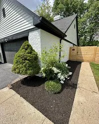 Top-rated outdoor landscaping in Indianapolis, IN by Green Forest Landscaping
