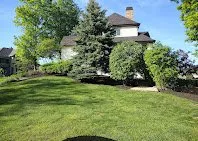 Reliable lawn care service experts serving Indianapolis, IN - Green Forest Landscaping