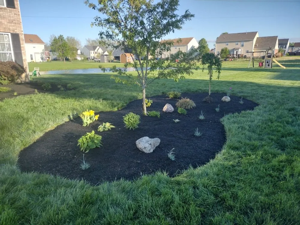 Top-rated landscape installation for homes across Indianapolis, IN - Green Forest Landscaping