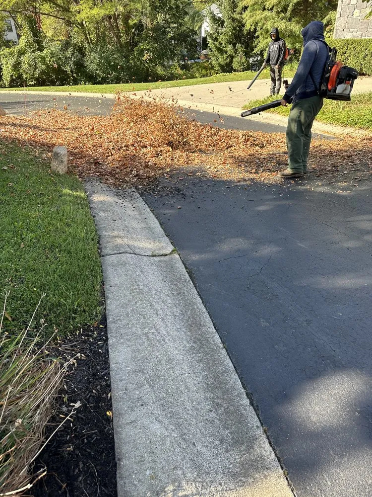 Professional landscape installation experts serving Indianapolis, IN - Green Forest Landscaping