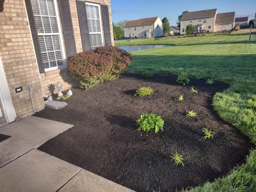 Expert lawn care service experts serving Indianapolis, IN - Green Forest Landscaping