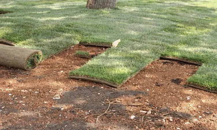 Custom outdoor landscaping near you across Morristown, NJ - Green Forest