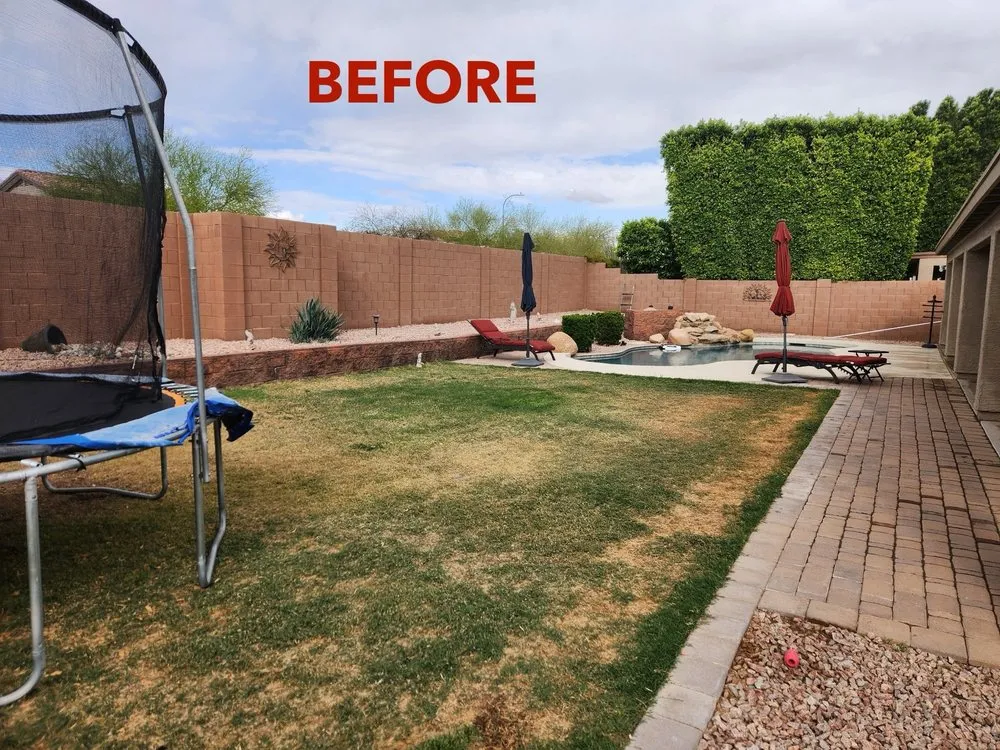 Custom yard cleanup service experts serving Phoenix, AZ - Green Forever Arizona Synthetic Turf & Pavers