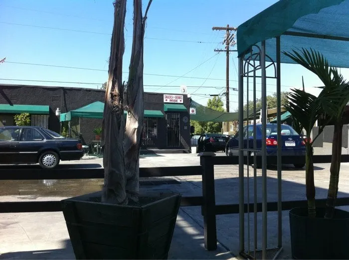 Expert landscape installation in Phoenix, AZ - Green Forever Arizona Synthetic Turf & Pavers