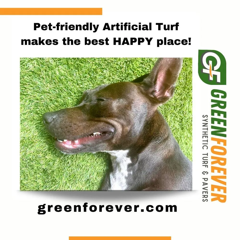 Trusted yard cleanup service for beautiful yards in Hesperia, CA by Green Forever