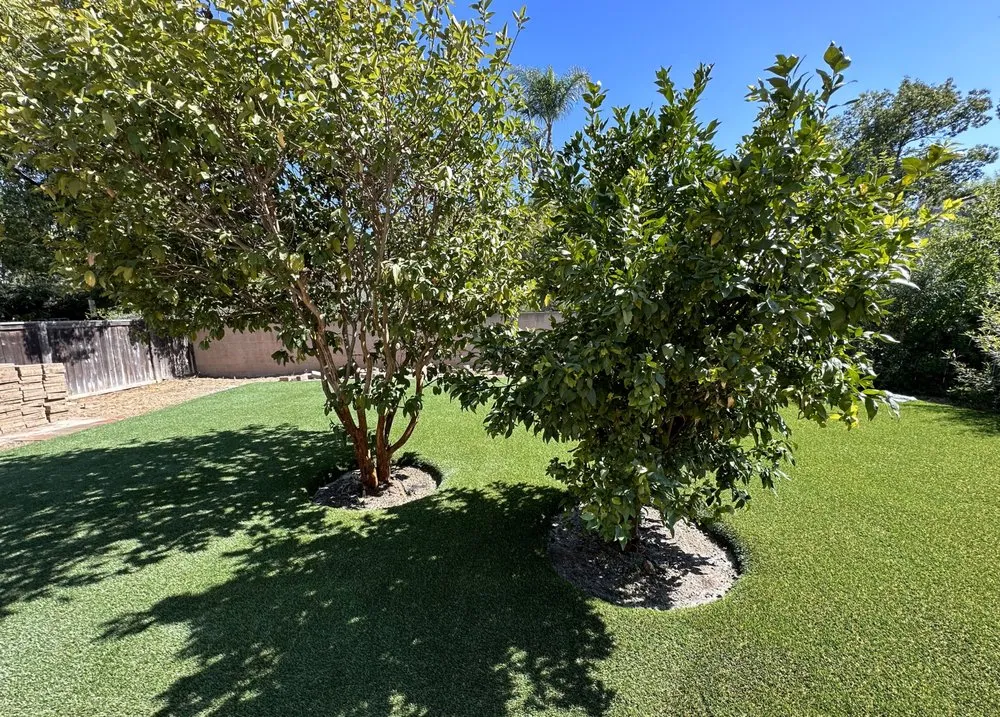 Professional yard cleanup service experts serving Hesperia, CA - Green Forever