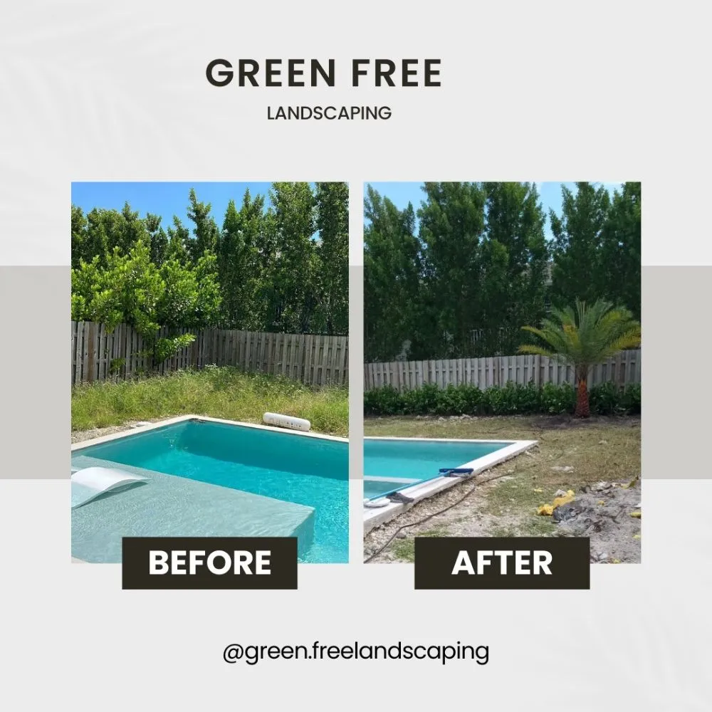 Affordable yard cleanup service experts serving Hollywood, FL - Green Free Landscaping