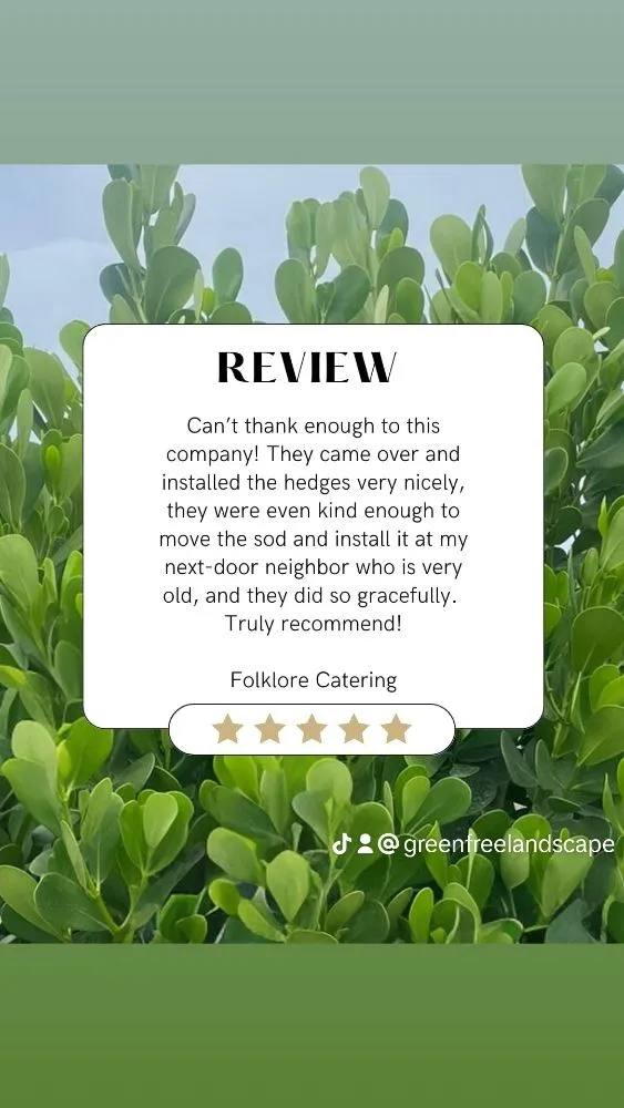 Trusted outdoor landscaping in Hollywood, FL - Green Free Landscaping