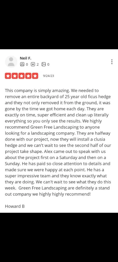 Top-rated yard cleanup service experts serving Hollywood, FL - Green Free Landscaping