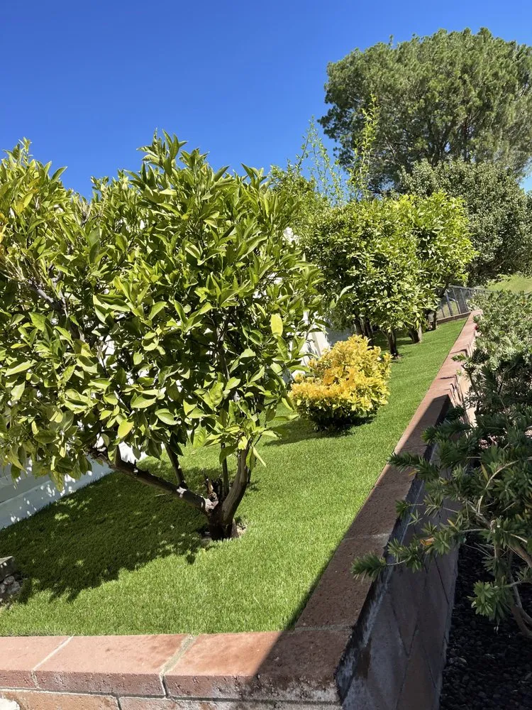 Expert garden landscaping with custom design across Santa Clarita, CA - Green Fuel Landscape