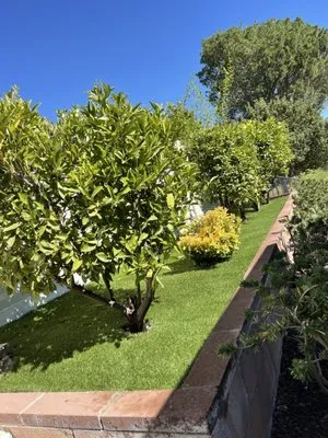 Green Fuel Landscape Logo