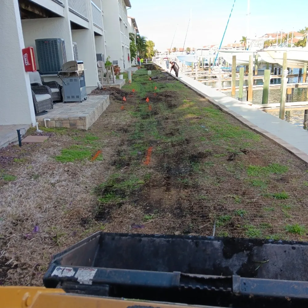 Professional landscape installation in St. Petersburg, FL - Green Fusion Landcare llc