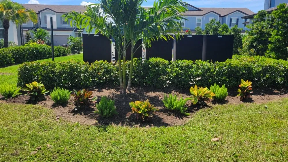 Expert lawn care service experts serving St. Petersburg, FL - Green Fusion Landcare llc