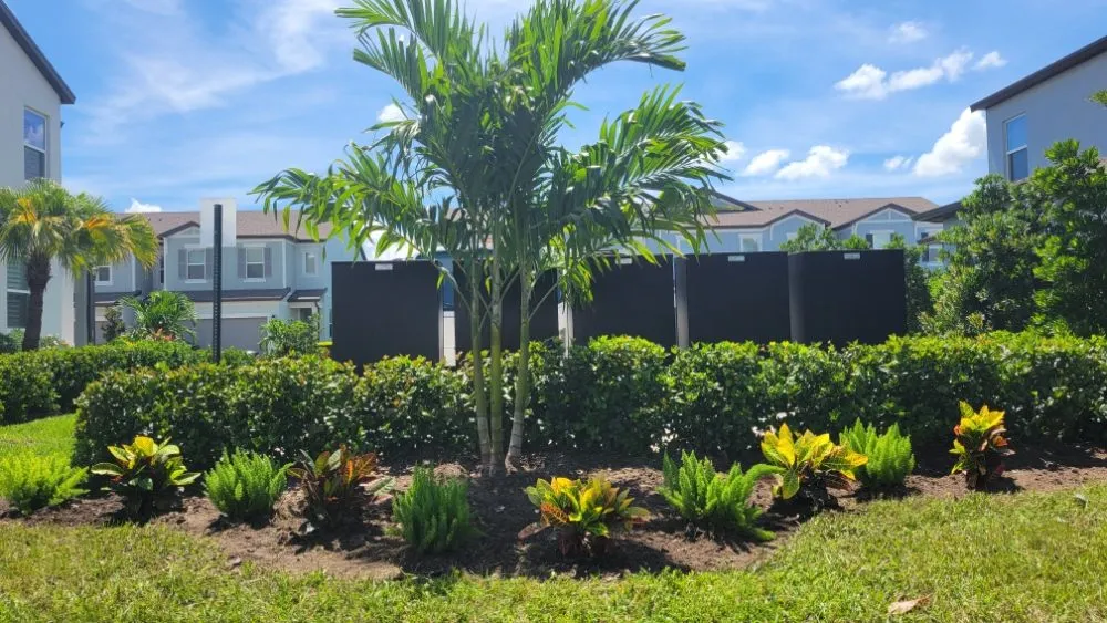 Top-rated landscape design for beautiful yards in St. Petersburg, FL by Green Fusion Landcare llc