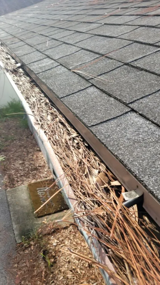 Affordable lawn mowing service for homes in St. Petersburg, FL by Green Fusion Landcare llc