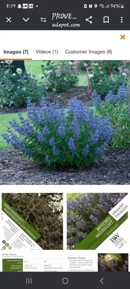 Professional lawn care service for outdoor upgrades in St. Petersburg, FL by Green Fusion Landcare llc