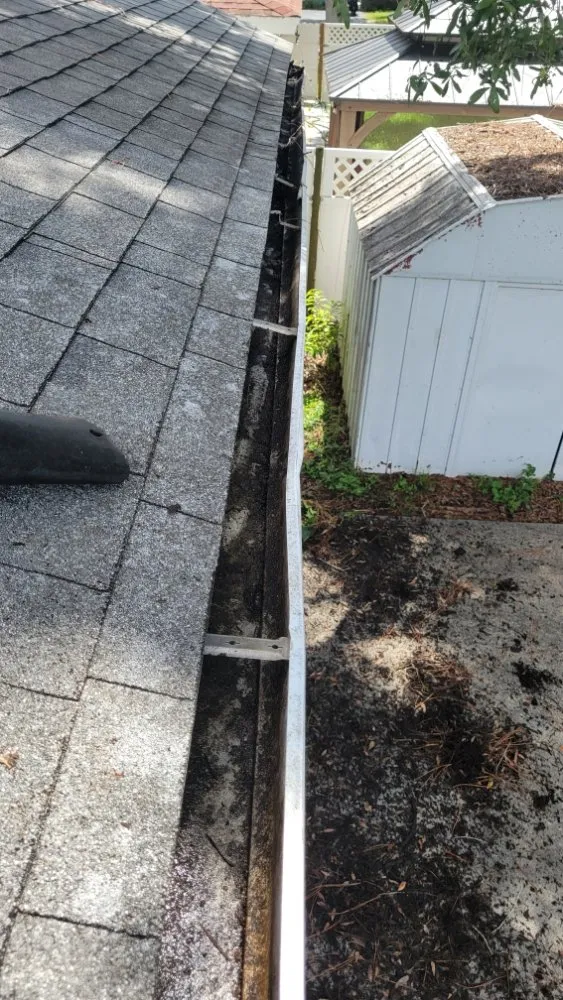 Professional landscape installation in St. Petersburg, FL by Green Fusion Landcare llc