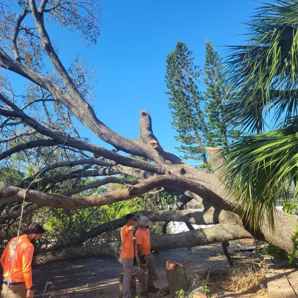 Local outdoor landscaping in St. Petersburg, FL - Green Fusion Landcare llc