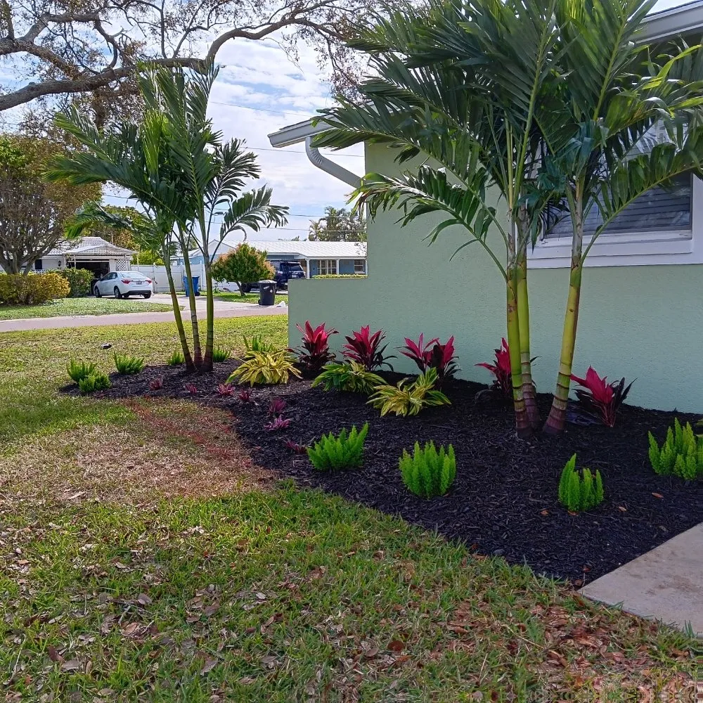 Professional yard cleanup service for homes across St. Petersburg, FL - Green Fusion Landcare llc
