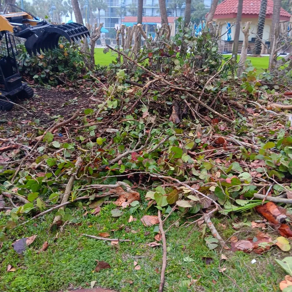 Expert outdoor landscaping experts serving St. Petersburg, FL - Green Fusion Landcare llc