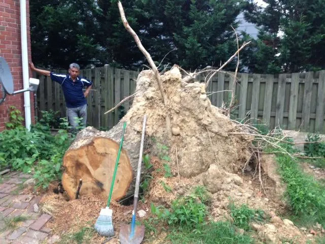 Reliable landscape design in Montgomery Village, MD by Green Fussion Services