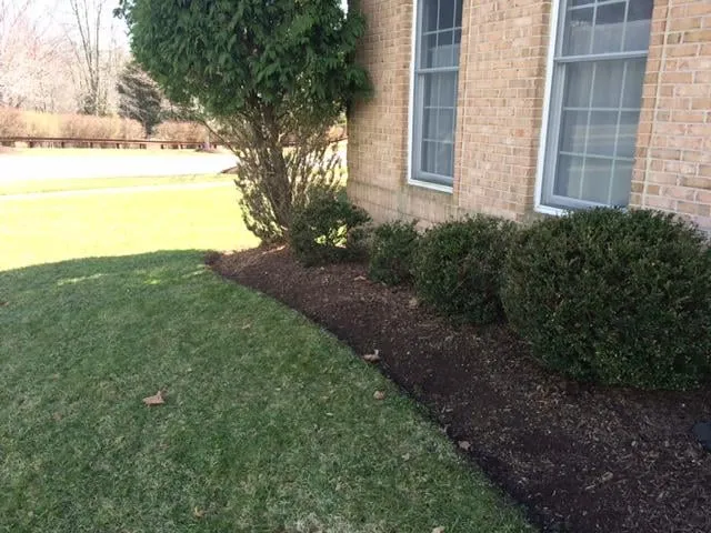 Expert landscaping services in Montgomery Village, MD - Green Fussion Services