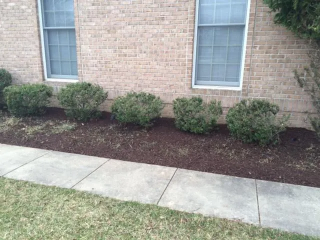 Professional outdoor landscaping for homes in Montgomery Village, MD by Green Fussion Services