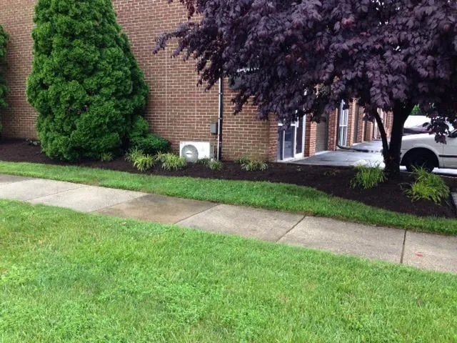 Professional yard maintenance in Montgomery Village, MD - Green Fussion Services