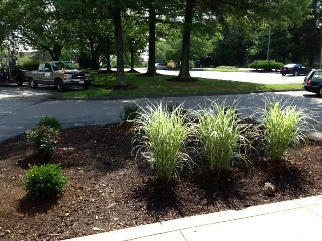 Affordable landscape design experts serving Montgomery Village, MD - Green Fussion Services