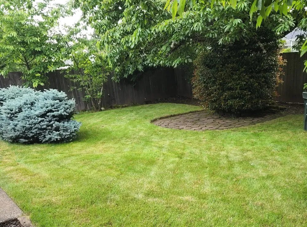 Local yard maintenance experts serving Cornelius, OR - Green FX Lawncare