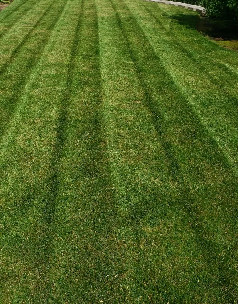 Local outdoor landscaping near you in Cornelius, OR by Green FX Lawncare