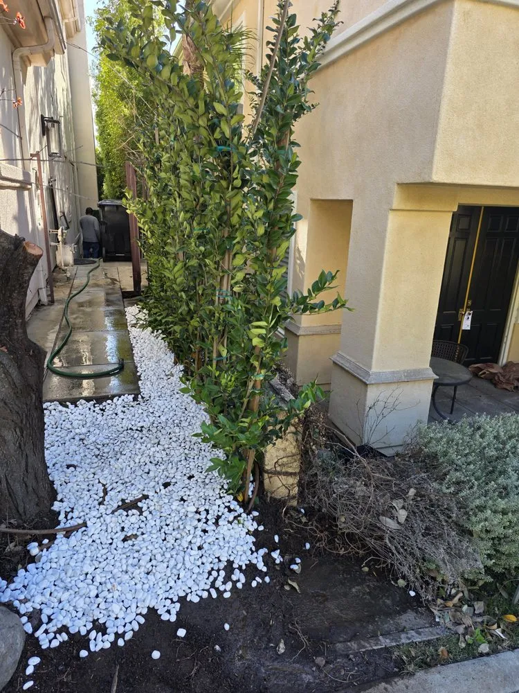 Local landscape installation experts serving Hawthorne, CA - Green Gainz Greenscapes