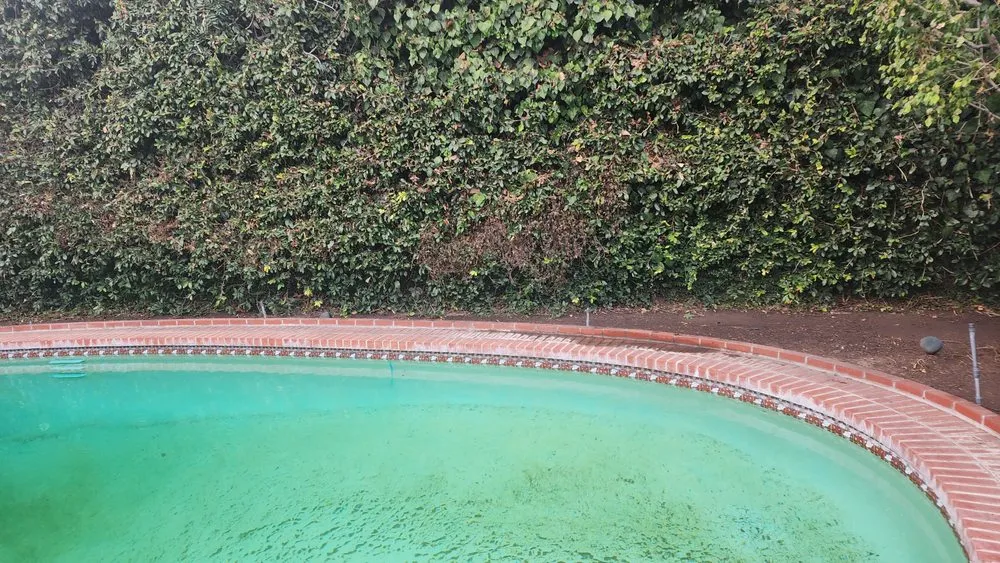 Reliable lawn mowing service for beautiful yards across Hawthorne, CA - Green Gainz Greenscapes