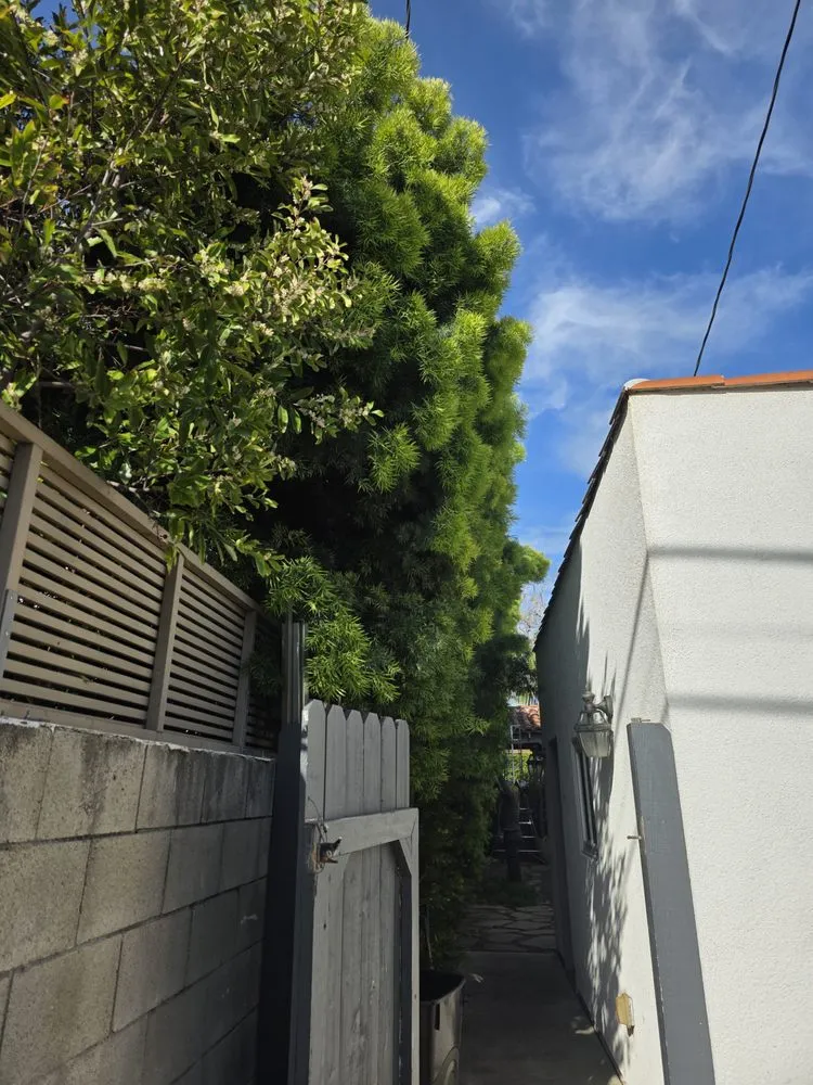 Reliable lawn mowing service with custom design in Hawthorne, CA by Green Gainz Greenscapes