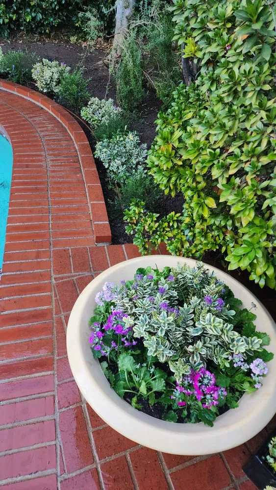 Professional yard maintenance for residential properties in Hawthorne, CA by Green Gainz Greenscapes