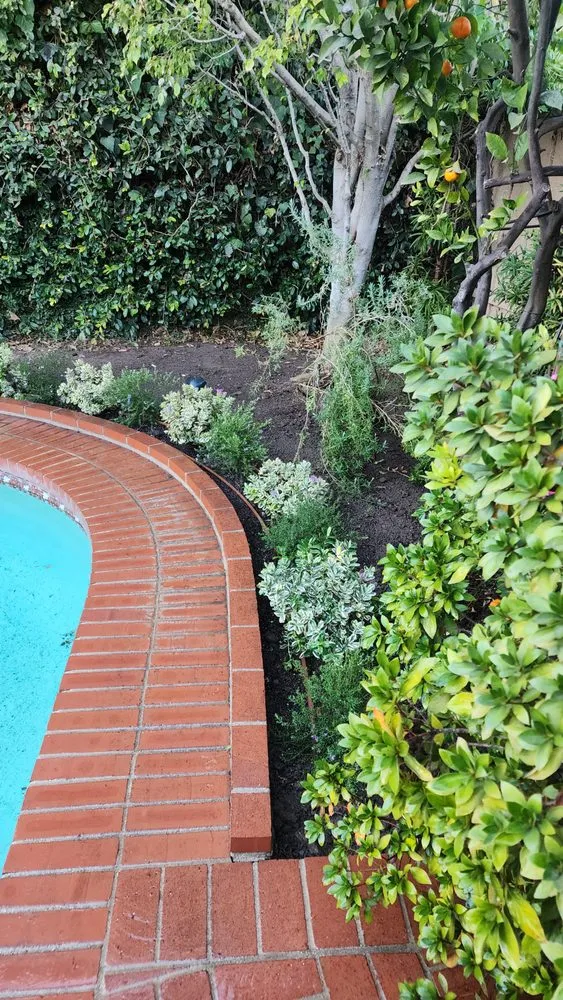 Custom outdoor landscaping in Hawthorne, CA - Green Gainz Greenscapes