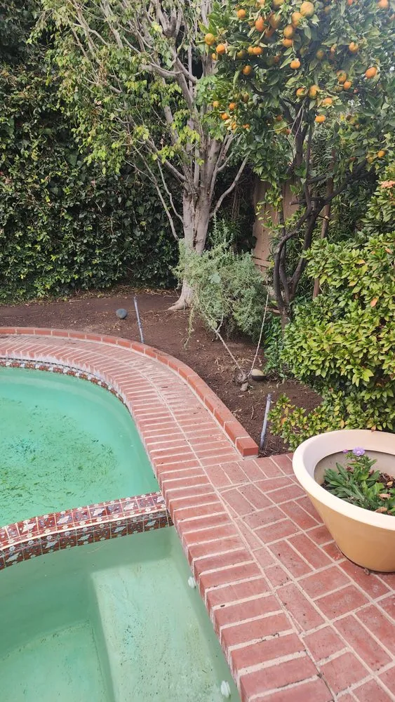 Professional outdoor landscaping in Hawthorne, CA by Green Gainz Greenscapes