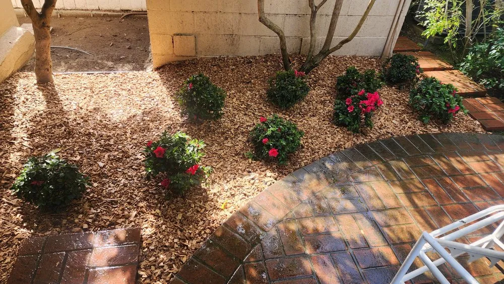 Top-rated landscape installation experts serving Hawthorne, CA - Green Gainz Greenscapes