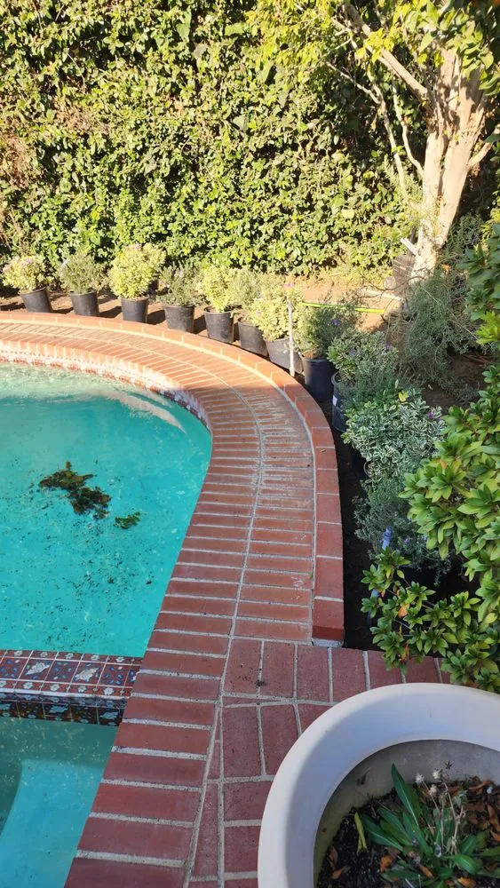 Local outdoor landscaping experts serving Hawthorne, CA - Green Gainz Greenscapes