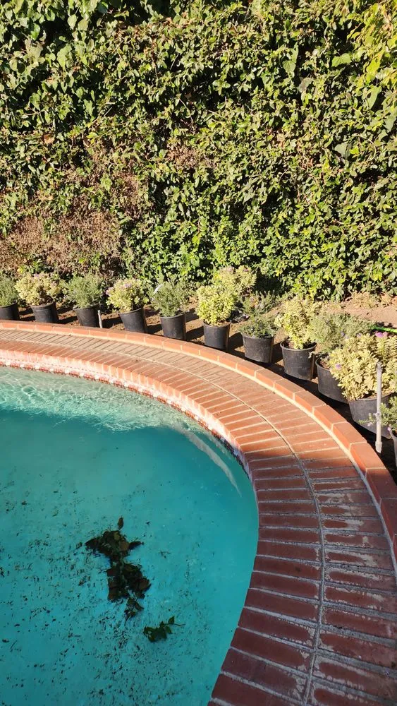 Local landscaping services for beautiful yards in Hawthorne, CA by Green Gainz Greenscapes