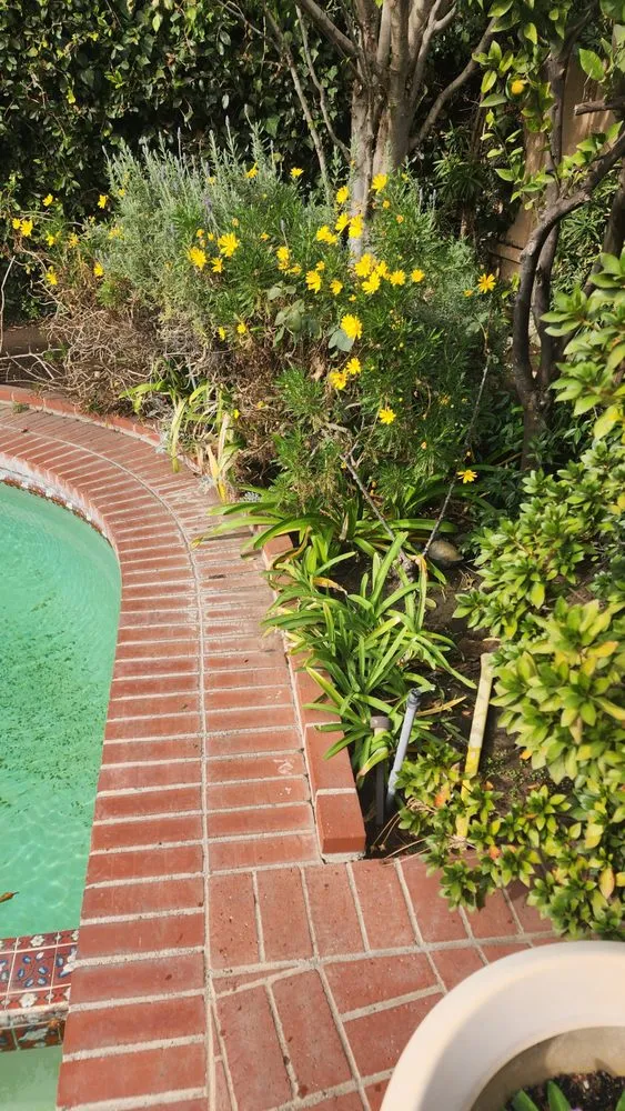 Local outdoor landscaping in Hawthorne, CA - Green Gainz Greenscapes