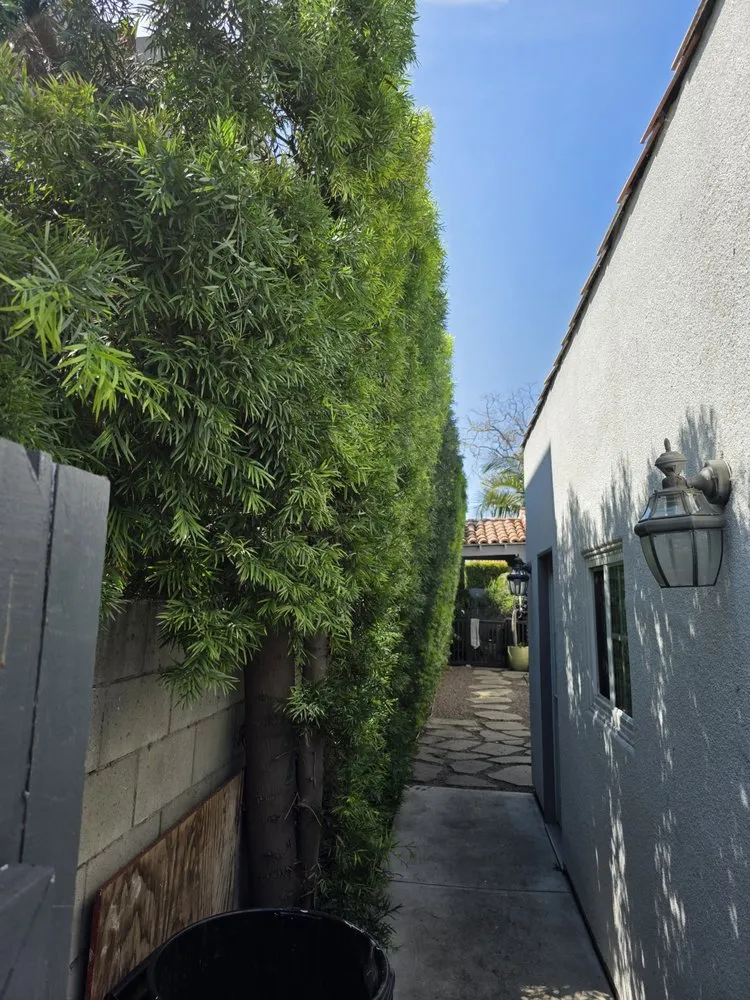 Custom residential landscaping for residential properties across Hawthorne, CA - Green Gainz Greenscapes