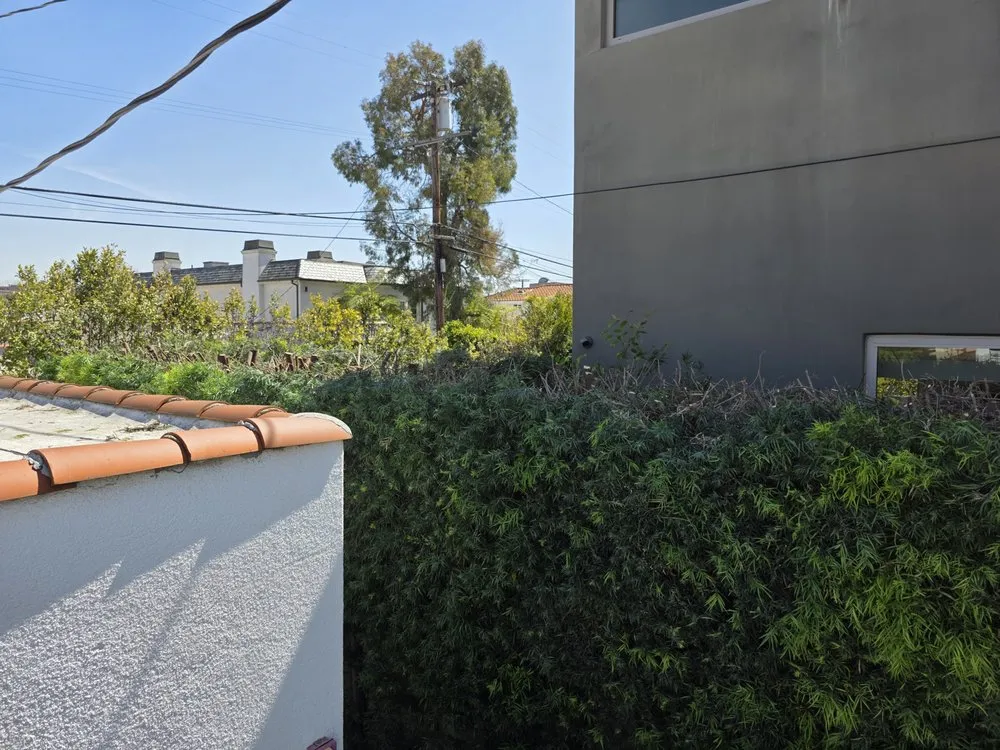 Expert landscape design experts serving Hawthorne, CA - Green Gainz Greenscapes