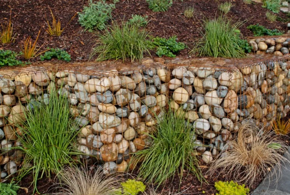 Affordable landscape installation for residential properties in Berkeley, CA by Green Gallery Landscaping