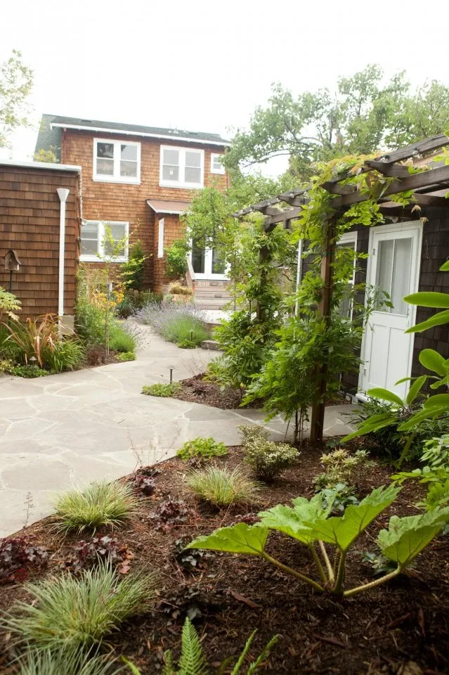 Affordable lawn care service experts serving Berkeley, CA - Green Gallery Landscaping