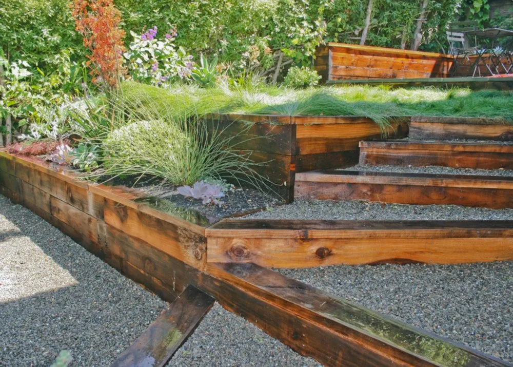 Top-rated landscape design near you in Berkeley, CA by Green Gallery Landscaping