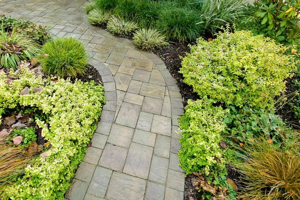 Top-rated yard cleanup service for beautiful yards in Berkeley, CA by Green Gallery Landscaping